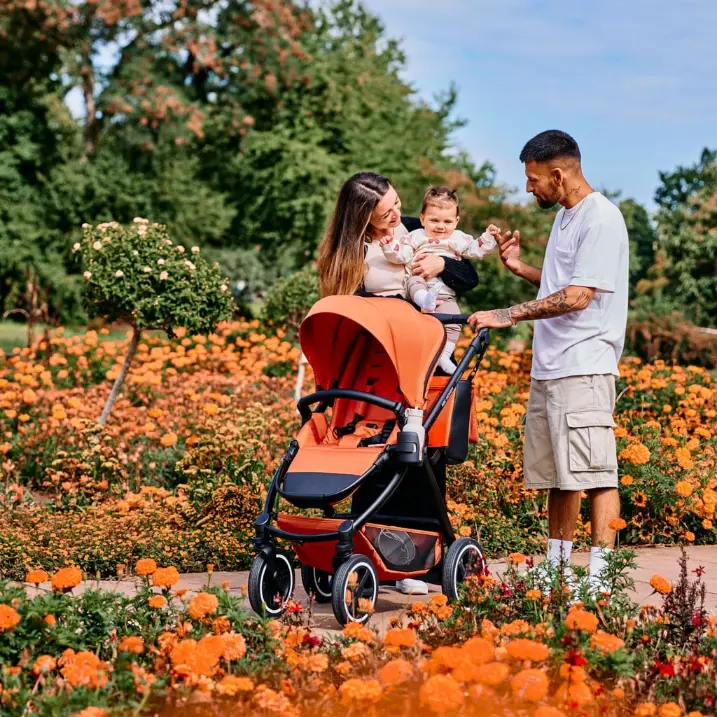 Pushchairs and buggies hotsell